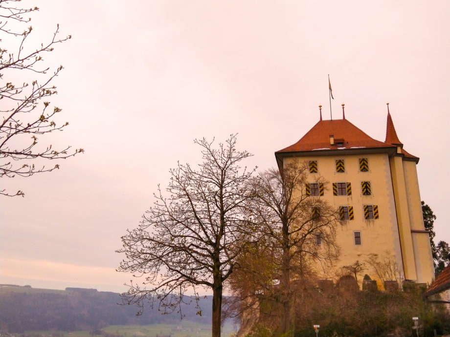 Blick auf das Schloss Heidegg 2